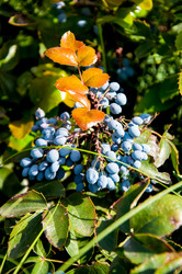 Similar image 2995993