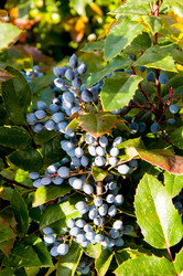 Similar image 2995995