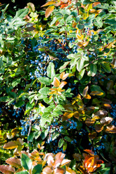 Similar image 2995996