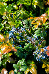 Similar image 2995997