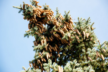 Similar image 2995999