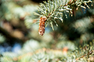 Similar image 2996002