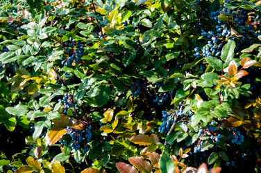 Similar image 2996004