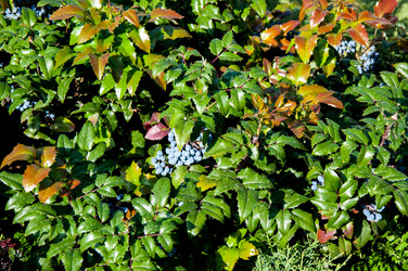 Similar image 2996005