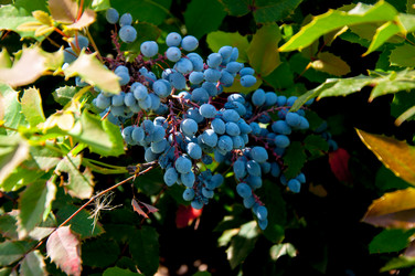 Similar image 2996007