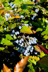 Similar image 2996008