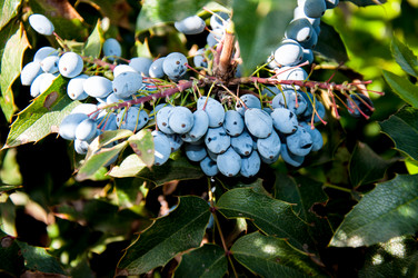 Similar image 2996009