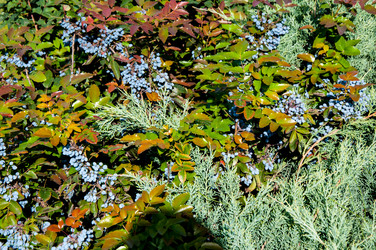 Similar image 2996012