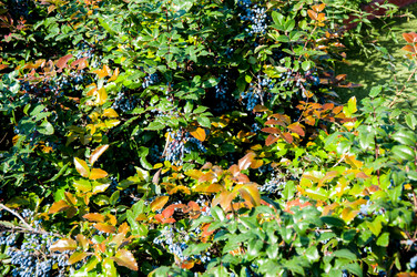 Similar image 2996013