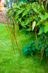 Similar image 2996019