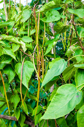 Similar image 2996020