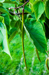 Similar image 2996021