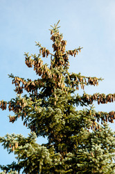 Similar image 2996025