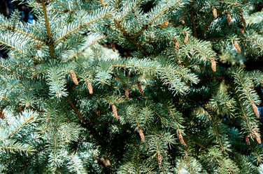 Similar image 2996027