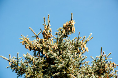 Similar image 2996029