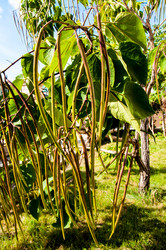 Similar image 2996035