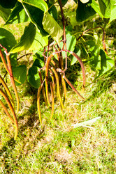 Similar image 2996038