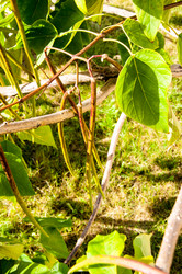 Similar image 2996041