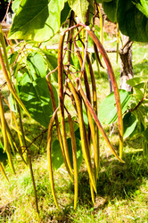 Similar image 2996042