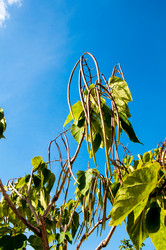 Similar image 2996043