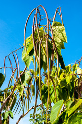 Similar image 2996044