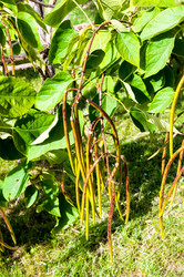 Similar image 2996045