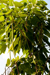 Similar image 2996046