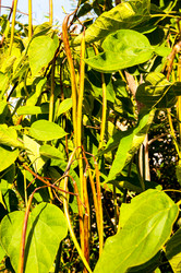 Similar image 2996047