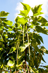 Similar image 2996048