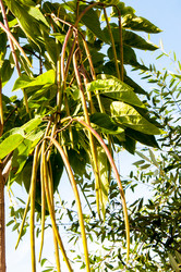 Similar image 2996049