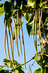 Similar image 2996050