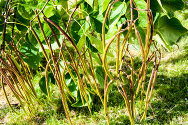 Similar image 2996051