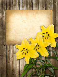 Similar image 2996084