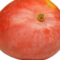 Similar image 2996136