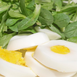 Similar image 2996173