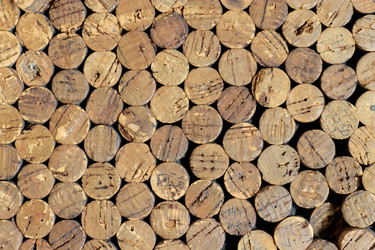 Similar image 2996332