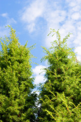 Similar image 2996369