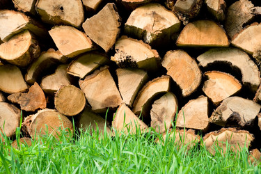 Similar image 2996371