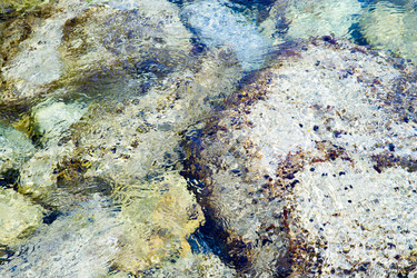 Similar image 2996432