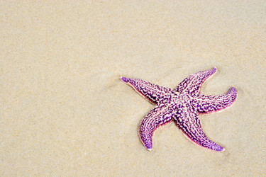 Similar image 2996437