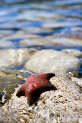 Similar image 2996439