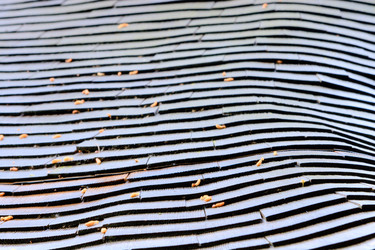 Similar image 2996447