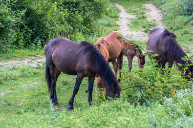 Similar image 2996509