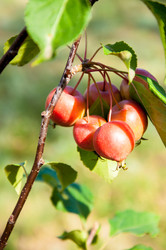 Similar image 2996527