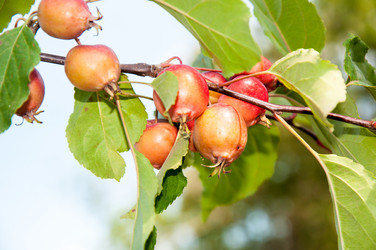 Similar image 2996528