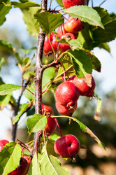 Similar image 2996530