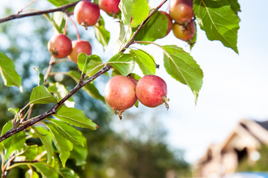 Similar image 2996531