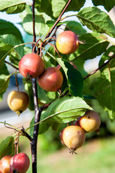 Similar image 2996532