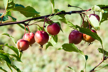 Similar image 2996533