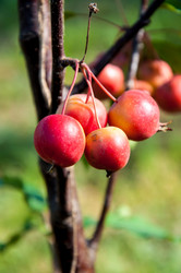 Similar image 2996534